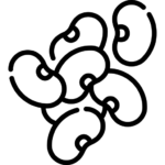 LEGUMES