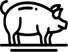PORK <br>FILLET